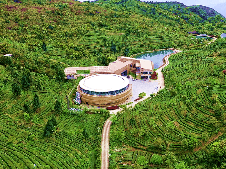 茶博馆